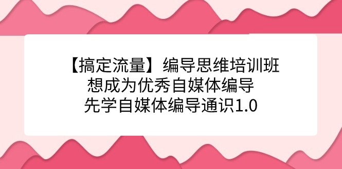 【搞定流量】编导思维培训班，想成为优秀自媒体编导先学自媒体编导通识1.0创业经验分享-网创吧-网创项目资源站-副业项目-创业项目-搞钱项目创业经验分享