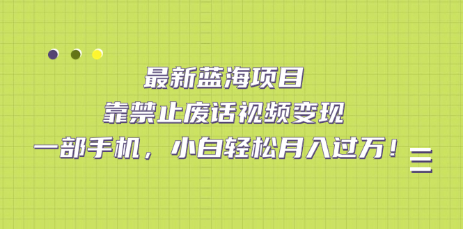 最新蓝海项目，靠禁止废话视频变现，一部手机，小白轻松月入过万！创业经验分享-网创吧-网创项目资源站-副业项目-创业项目-搞钱项目创业经验分享