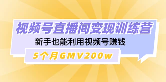 视频号直播间变现训练营创业经验分享-网创吧-网创项目资源站-副业项目-创业项目-搞钱项目创业经验分享