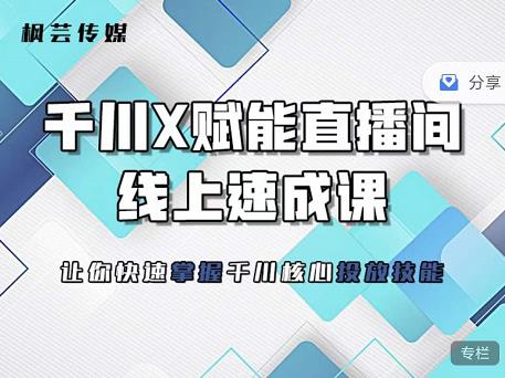 枫芸传媒-线上千川提升课，提升千川认知，提升千川投放效果创业经验分享-网创吧-网创项目资源站-副业项目-创业项目-搞钱项目创业经验分享