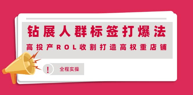 钻展人群标签打爆法，高投产ROL收割打造高权重店铺(全程实操)创业经验分享-网创吧-网创项目资源站-副业项目-创业项目-搞钱项目创业经验分享