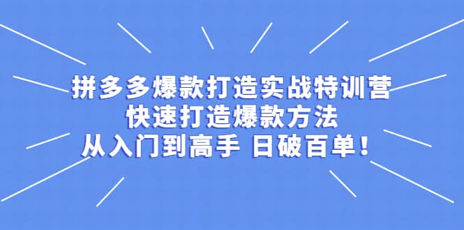 拼多多爆款打造实战特训营：快速打造爆款方法，从入门到高手 日破百单创业经验分享-网创吧-网创项目资源站-副业项目-创业项目-搞钱项目创业经验分享