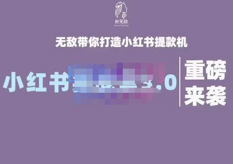 谢无敌·小红书实战营3.0，无敌带你打造小红书提款机 价值7999元创业经验分享-网创吧-网创项目资源站-副业项目-创业项目-搞钱项目创业经验分享