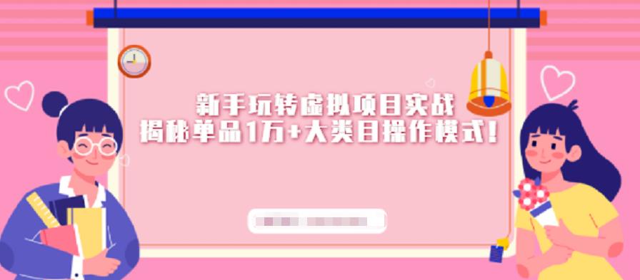 新手玩转虚拟项目实战，揭秘单品1万+大类目操作模式【视频课程】创业经验分享-网创吧-网创项目资源站-副业项目-创业项目-搞钱项目创业经验分享