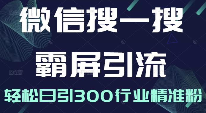 微信搜一搜霸屏引流课，打造被动精准引流系统，轻松日引300行业精准粉【无水印】创业经验分享-网创吧-网创项目资源站-副业项目-创业项目-搞钱项目创业经验分享