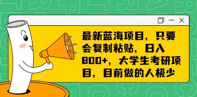 最新蓝海项目，只要会复制粘贴，日入800+，大学生考研项目，目前做的人极少创业经验分享-网创吧-网创项目资源站-副业项目-创业项目-搞钱项目创业经验分享