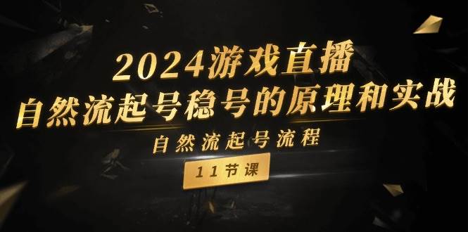 2024游戏直播-自然流起号稳号的原理和实战，自然流起号流程（11节）创业经验分享-网创吧-网创项目资源站-副业项目-创业项目-搞钱项目创业经验分享