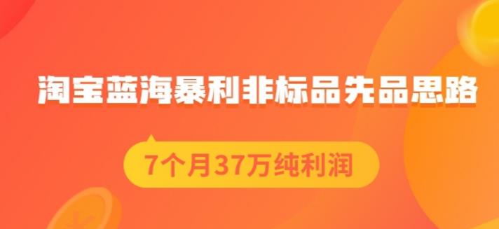 盗坤淘宝蓝海暴利非标品先品思路，7个月37万纯利润，压箱干货分享！【付费文章】创业经验分享-网创吧-网创项目资源站-副业项目-创业项目-搞钱项目创业经验分享