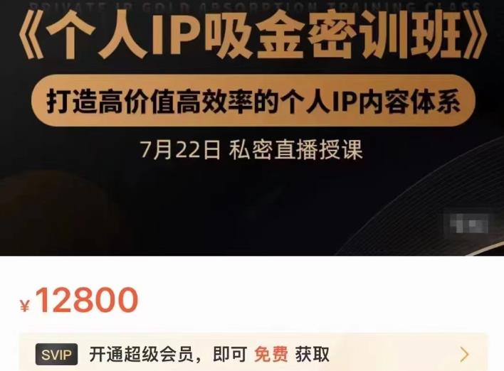 个人IP吸金密训班，打造高价值高效率的个人IP内容体系（价值12800元）创业经验分享-网创吧-网创项目资源站-副业项目-创业项目-搞钱项目创业经验分享