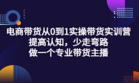 电商带货从0到1实操带货实训营:提高认知,少走弯路,做一个专业带货主播创业经验分享-网创吧-网创项目资源站-副业项目-创业项目-搞钱项目创业经验分享