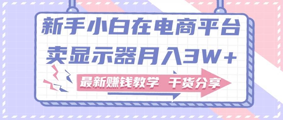 新手小白如何做到在电商平台卖显示器月入3W+，最新赚钱教学干货分享创业经验分享-网创吧-网创项目资源站-副业项目-创业项目-搞钱项目创业经验分享