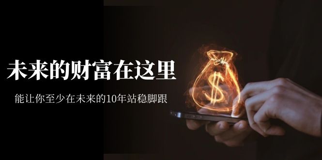 某收费文章《未来的财富在这里》能让你至少在未来的10年站稳脚跟创业经验分享-网创吧-网创项目资源站-副业项目-创业项目-搞钱项目创业经验分享