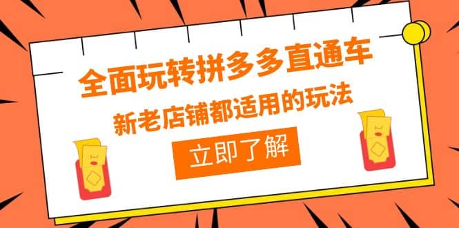 全面玩转拼多多直通车，新老店铺都适用的玩法（12节精华课）创业经验分享-网创吧-网创项目资源站-副业项目-创业项目-搞钱项目创业经验分享