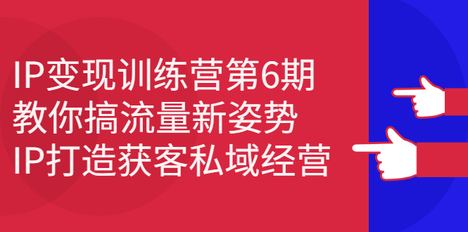 IP变现训练营第6期：教你搞流量新姿势，IP打造获客私域经营创业经验分享-网创吧-网创项目资源站-副业项目-创业项目-搞钱项目创业经验分享
