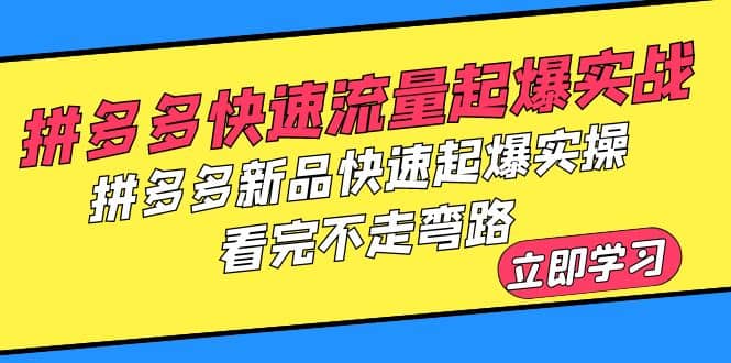 拼多多-快速流量起爆实战，拼多多新品快速起爆实操，看完不走弯路创业经验分享-网创吧-网创项目资源站-副业项目-创业项目-搞钱项目创业经验分享