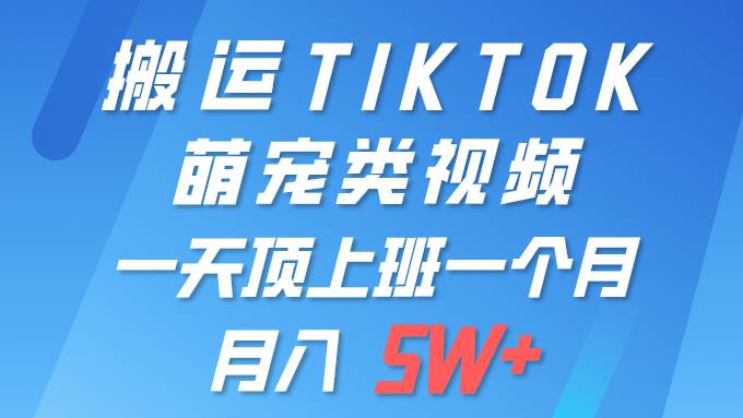 一键搬运TIKTOK萌宠类视频 一部手机即可操作 所有平台均可发布 轻松月入5W+创业经验分享-网创吧-网创项目资源站-副业项目-创业项目-搞钱项目创业经验分享