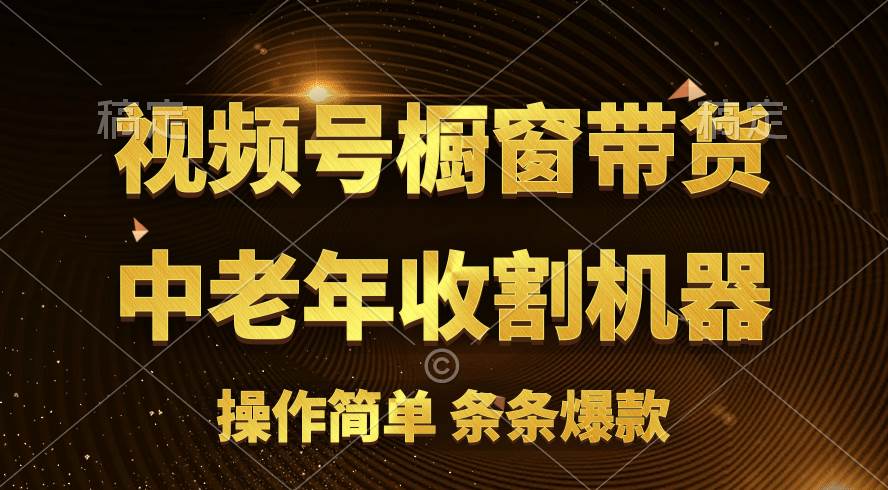 [你的孩子成功取得高位]视频号最火爆赛道，橱窗带货，流量分成计划，条…创业经验分享-网创吧-网创项目资源站-副业项目-创业项目-搞钱项目创业经验分享