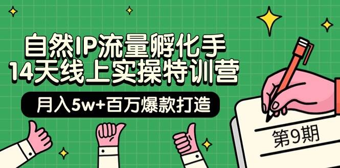 自然IP流量孵化手 14天线上实操特训营【第9期】月入5w+百万爆款打造 (74节)创业经验分享-网创吧-网创项目资源站-副业项目-创业项目-搞钱项目创业经验分享
