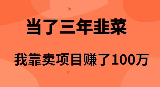 当了3年韭菜，我靠卖项目赚了100万创业经验分享-网创吧-网创项目资源站-副业项目-创业项目-搞钱项目创业经验分享
