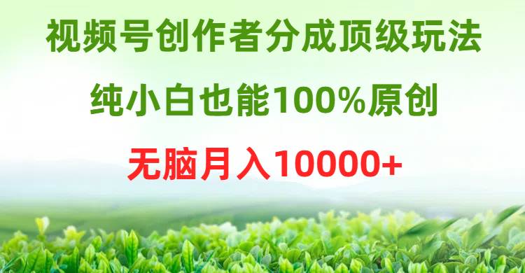 视频号创作者分成顶级玩法，纯小白也能100%原创，无脑月入10000+创业经验分享-网创吧-网创项目资源站-副业项目-创业项目-搞钱项目创业经验分享