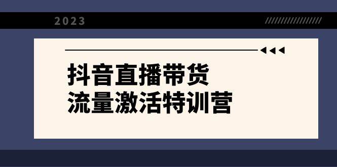 抖音直播带货-流量激活特训营，入行新手小白主播必学（21节课+资料）创业经验分享-网创吧-网创项目资源站-副业项目-创业项目-搞钱项目创业经验分享