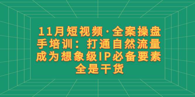 11月短视频·全案操盘手培训：打通自然流量 成为想象级IP必备要素 全是干货创业经验分享-网创吧-网创项目资源站-副业项目-创业项目-搞钱项目创业经验分享