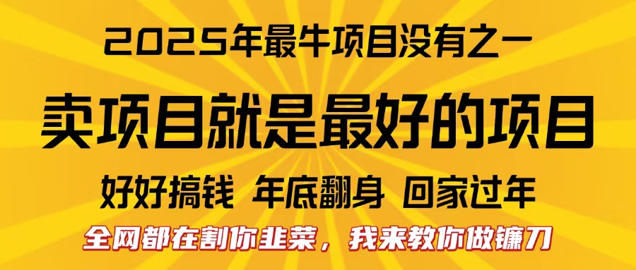 全网都在割你韭菜，我来教你做镰刀。卖项目就是最好的项目，2025年最牛互联网项目创业经验分享-网创吧-网创项目资源站-副业项目-创业项目-搞钱项目创业经验分享