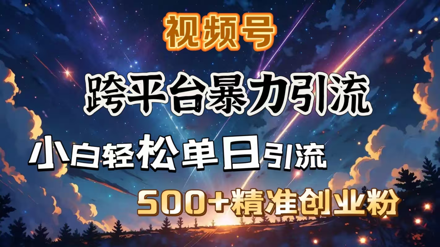 视频号跨平台暴力引流，小白轻松单日引流500＋精准创业粉创业经验分享-网创吧-网创项目资源站-副业项目-创业项目-搞钱项目创业经验分享