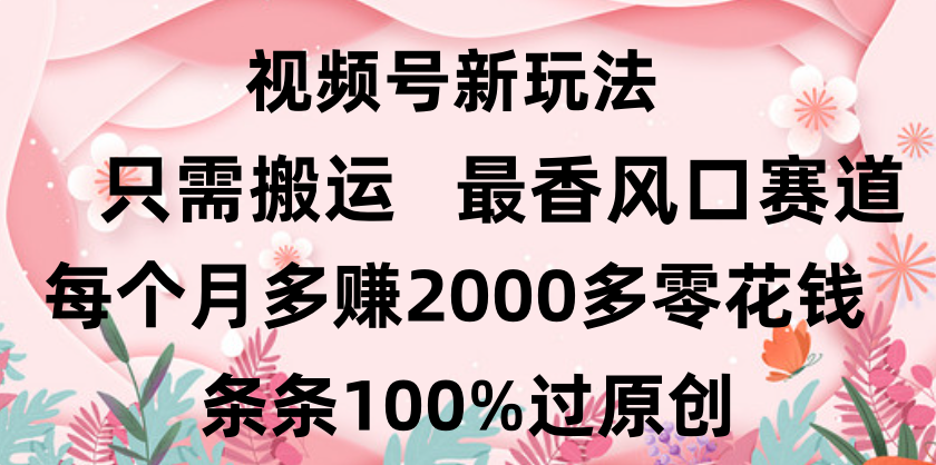 日入2000+，条条100%过原创，视频号最香风口赛道，小白轻松上手创业经验分享-网创吧-网创项目资源站-副业项目-创业项目-搞钱项目创业经验分享