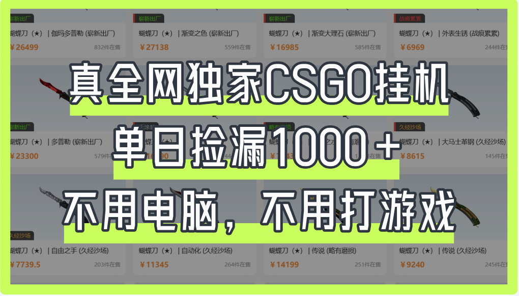 真全网独家CSGO挂机，单日捡漏1000+创业经验分享-网创吧-网创项目资源站-副业项目-创业项目-搞钱项目创业经验分享