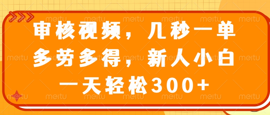 视频审核员，几秒一单，多劳多得，新人小白一天轻松300+创业经验分享-网创吧-网创项目资源站-副业项目-创业项目-搞钱项目创业经验分享
