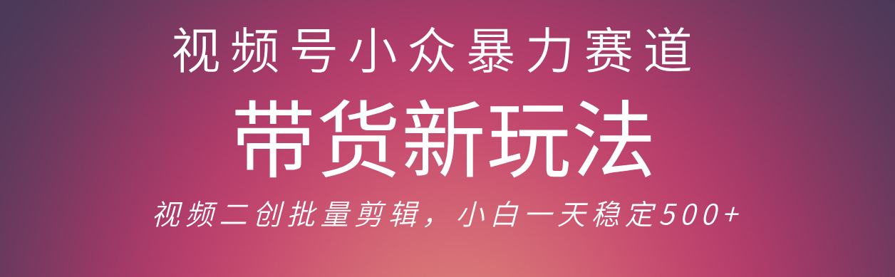 视频号小众暴力赛道，最新带货玩法 小白也能轻松日入500+ 保姆及教程创业经验分享-网创吧-网创项目资源站-副业项目-创业项目-搞钱项目创业经验分享