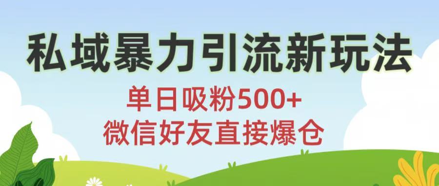 私域暴力引流新玩法!单日吸粉500+，微信好友直接爆仓创业经验分享-网创吧-网创项目资源站-副业项目-创业项目-搞钱项目创业经验分享