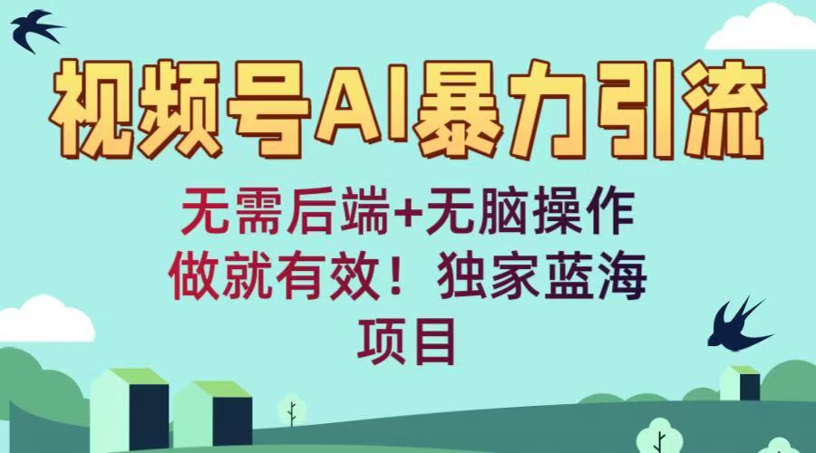 视频号AI暴力引流：无需后端+无脑操作，做就有效！独家蓝海项目创业经验分享-网创吧-网创项目资源站-副业项目-创业项目-搞钱项目创业经验分享