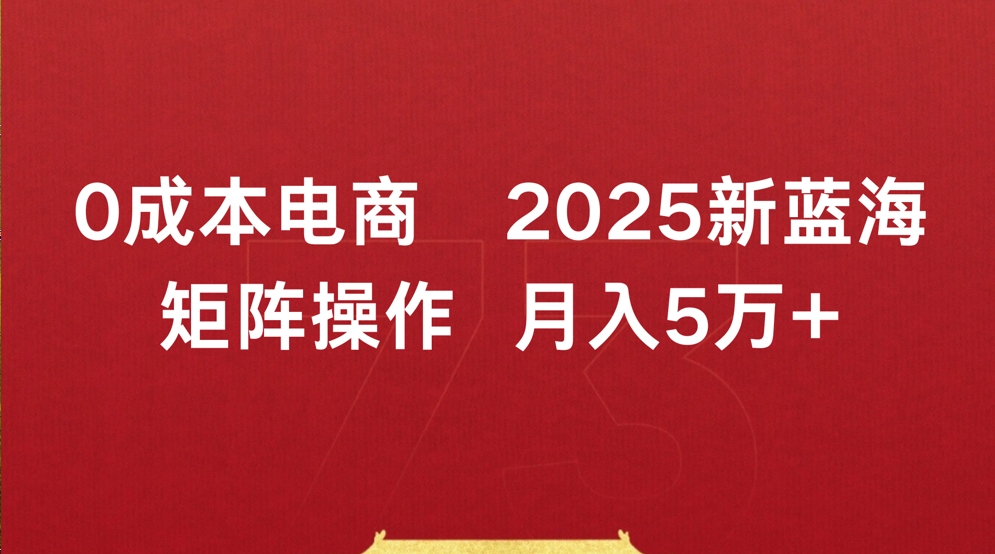 0成本电商2025新蓝海矩阵操作 月入5万+创业经验分享-网创吧-网创项目资源站-副业项目-创业项目-搞钱项目创业经验分享
